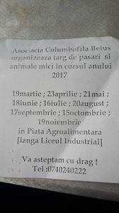 Târguri pentru cei interesați; Deși nu au fost mulți la primul târg am postat programul pentru cei care doresc să vină
