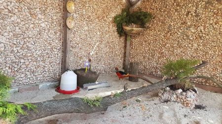 GATA CASUTA NOASTRA; AM INSTALAT SI MOBILA-SUFRAGERIA
