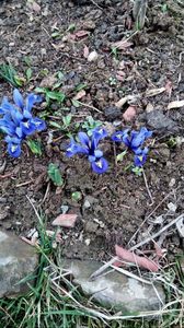 IMG-20170322-WA0001