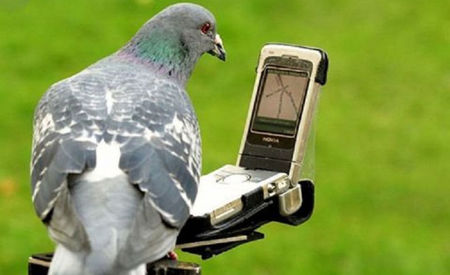 ia uite, frate!... are și GPS!!