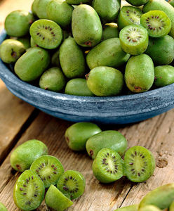 Kiwi Issai