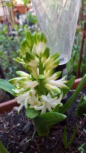 20170401_165153(0)