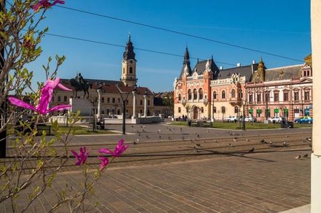 oradea7