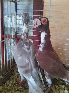Photo0602