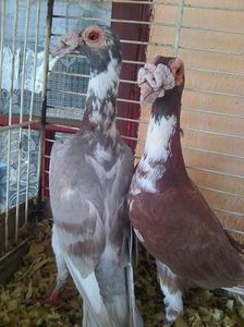 Photo0603