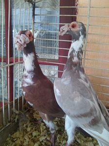 Photo0604