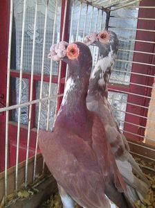 Photo0607