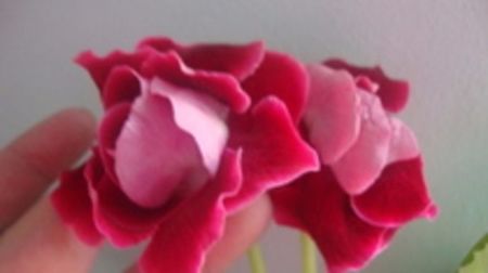 Tigrina red dubla