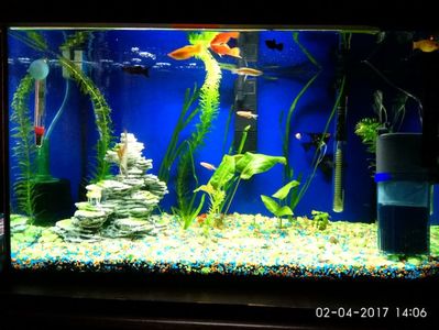 ; Am evoluat 60l
