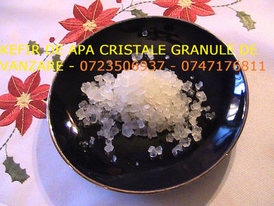 CRISTALE KEFIR DE APA 0723506937 GRANULE CIUPERCA KEFIR DE APA (5); Cristale Japoneze de VANZARE ORIUNDE in Romania 0765437394 Vedeti VIDEO https://www.youtube.com/watch?v=y2z3Z_rRyQ8&t=71s Bautura rezultata din KEFIRUL DE APA este unul din secretele longevitatii Japo
