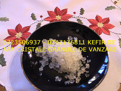 CRISTALE KEFIR DE APA 0723506937 GRANULE CIUPERCA KEFIR DE APA (3)