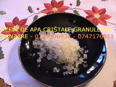 CRISTALE KEFIR DE APA 0723506937 GRANULE CIUPERCA KEFIR DE APA (4)