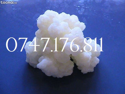 KEFIR BIO 0765437394  CIUPERCA TIBETANA KEFIR (2)