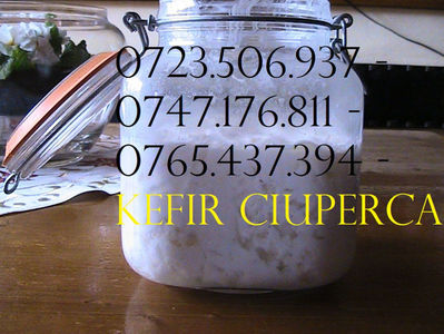 KEFIR 0723506937 - 0747176811 CIUPERCA TIBETANA (11)