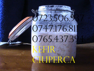 KEFIR 0723506937 - 0747176811 CIUPERCA TIBETANA (12) - Copy