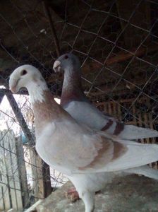 received_178157819347318