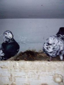 received_1791824861143970
