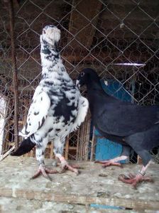 received_1791828361143620