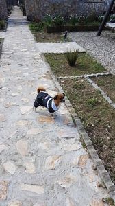 PAZA