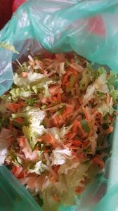 ESTE UN DELICIU PTR. FAZANI; SALATA VERDE
CEAPA VERDE
MORCOV
CARTOF
PATRUNJEL

