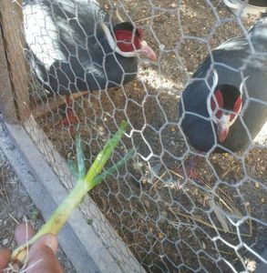 20170410_171712-1