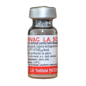 LA SOTA