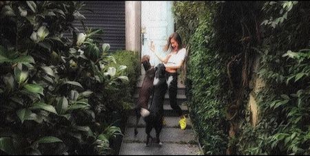 Day 22╰Neslihan Atagül╮