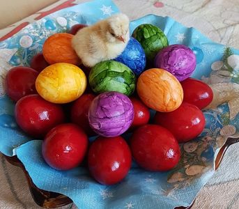 UN PASTE FERICIT ALATURI DE CEI DRAGI