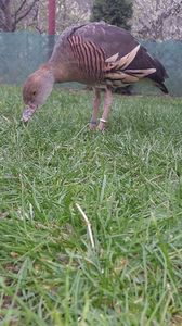 IMG-20170416-WA0019