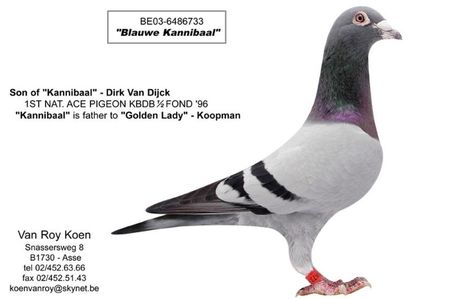 be03-6486733-blauwe-kannibaal