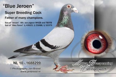 braspenning3