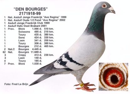 den_bourges