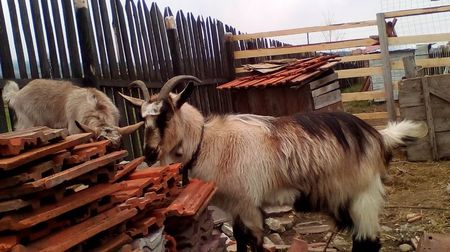 Copy of IMG_20170417_142109