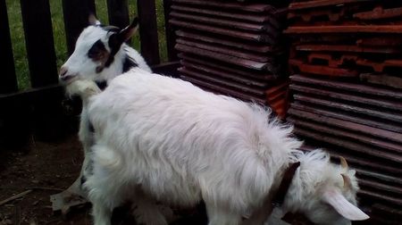 Copy of IMG_20170417_142113