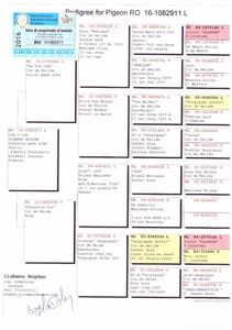 RO-16-1082911 M Pedigree