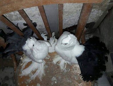 received_10207693486318933