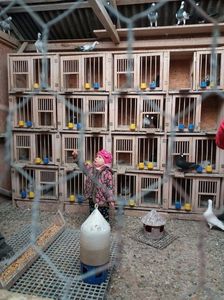 IMG-20170421-WA0006