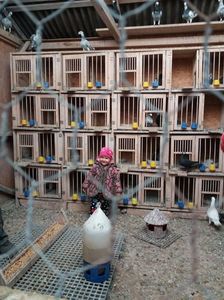 IMG-20170421-WA0005