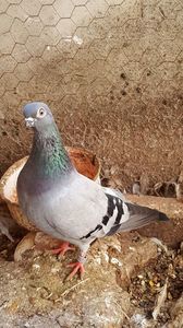 20170422_142736(0)