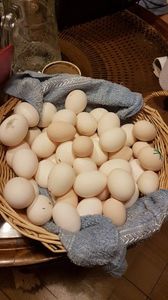 din nou o noua generatie; doamne ajuta
