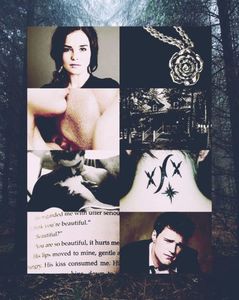 iadorecyrus ♔ Dimitri & Rose; din seria ❝Academia Vampirilor❞, de Richelle Mead
