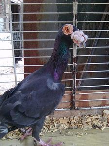 Photo0652