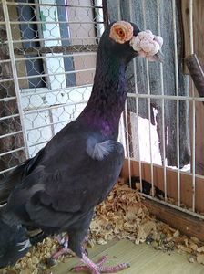Photo0653