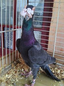 Photo0654