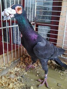 Photo0655