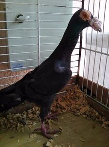 Photo0656