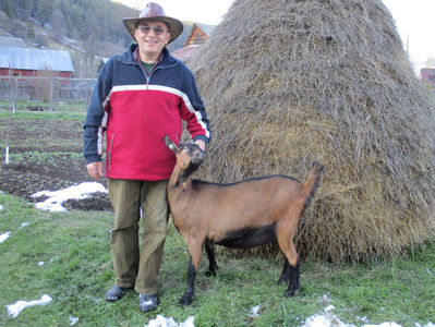 Bambi ieduta franceza de la Cezar