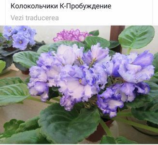 IMG-20170501-WA0345