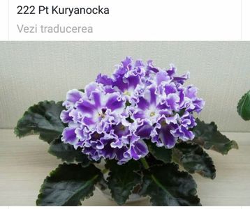 IMG-20170501-WA0306