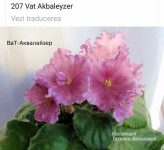 IMG-20170501-WA0263